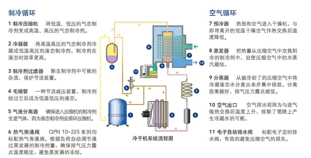 冷凍室干燥機(jī)價格